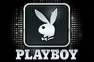 Microgaming Playboy Multiplayer