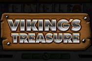 Viking`s Treasure
