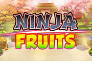 Ninja Fruits Slot von Play'n GO