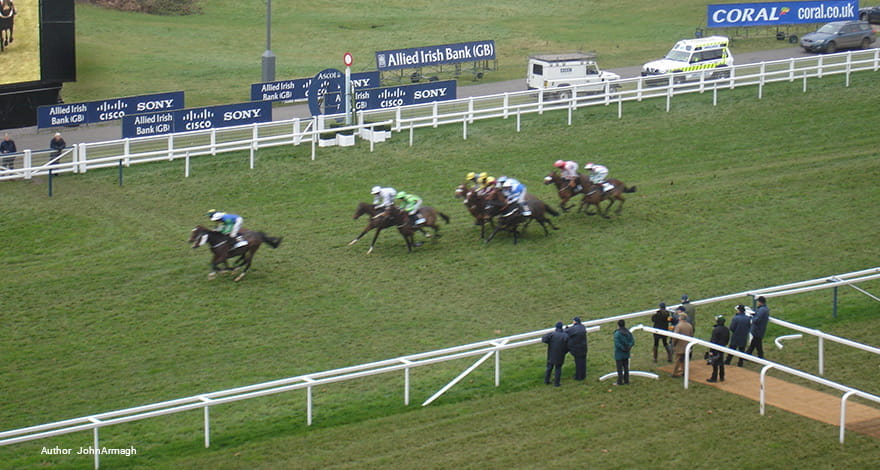 Top TripAdvisor Recommendation for Horse Racing – the Ascot Racecource