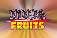 Ninja Fruits slot game preview