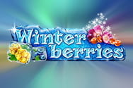 Preview of the slot game Winterberries