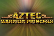 Aztec Warrior Princess slot game preview