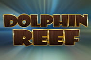 Dolphin reef preview