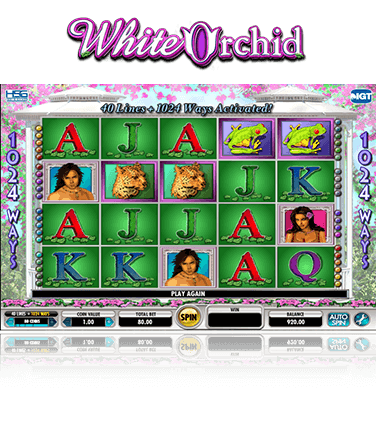 White Orchid Game