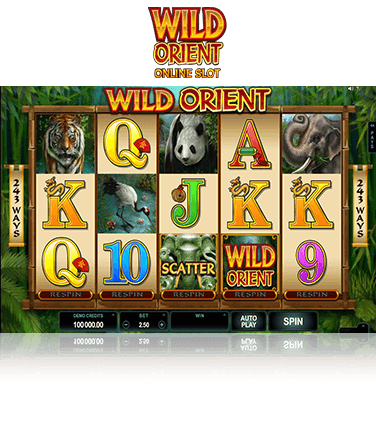 Wild Orient Game