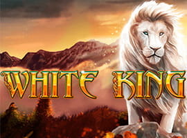 Der weiße König der Löwen ist einer der poulärsten Playtech Spielautomaten