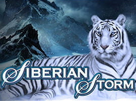 Ein weißer Tiger liegt bei schlechten Wetter vor einer Klippe. Darunter steht der Name des Spielautomaten.