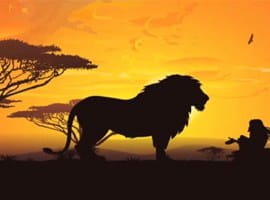 Video des Mega Moolah Slots