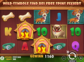 A Big Win on the The Dog House Slot Machine