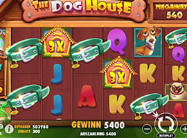 A Big Win on the The Dog House Megaways Slot Machine