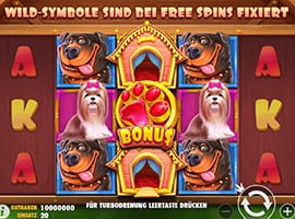 The The Dog House Slot Game