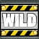 Wild Symbol 2