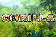Gorilla Slot von Novoline