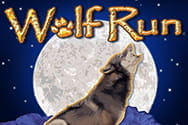 Wolf Run.