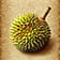 Das Bild zeigt eine Durian.