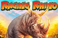 Raging Rhino Slot von WMS Gaming