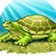 Das Bild zeigt eine Schildkröte.