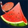 Das Bild zeigt eine Wassermelone.