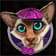 Das Bild zeigt eine Katze mit lila Hut