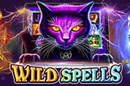 Das Logo von Wild Spells.