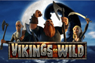 Der Slot Vikings Go Wild.