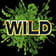 Símbolo con la palabra Wild en marrón sobre un fondo verde asimétrico.