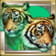 Sobre un fondo verde se ven dos elegantes tigres.