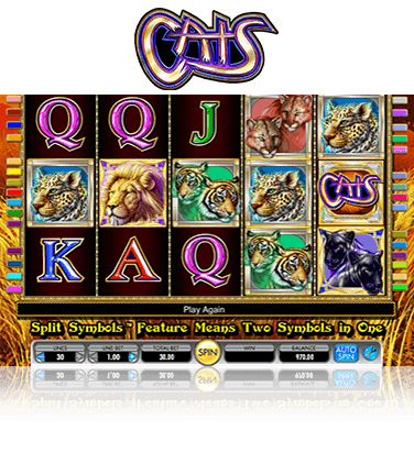 El panel de juego de la tragaperras Cats, con sus 5 rodillos y los símbolos de varios de los animales protagonistas repartidos por el carrete, como el león y la pantera. En la parte superior se ve el nombre de la máquina.