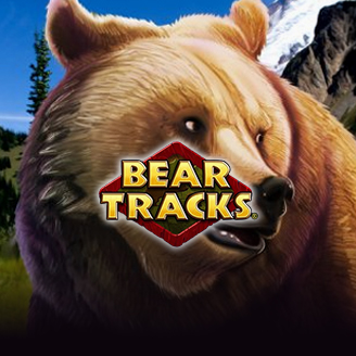 Bear Tracks