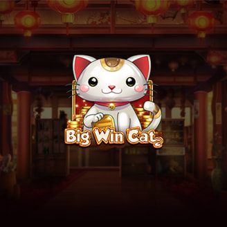 Big Win Cat