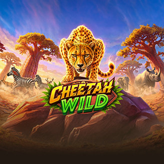 Cheetah Wild