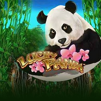 Lucky Panda