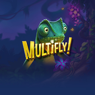 Multifly