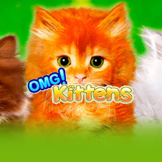 OMG Kittens