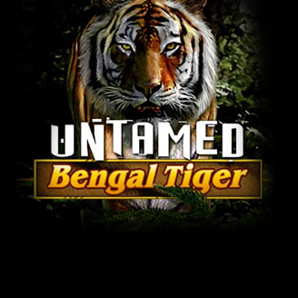 Untamed Bengal Tiger
