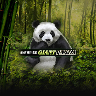Untamed Giant Panda