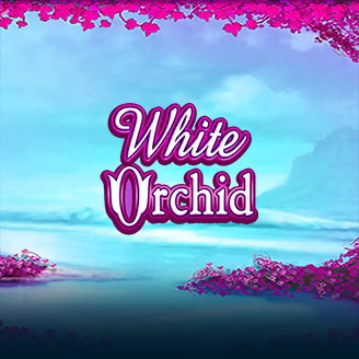 White Orchid
