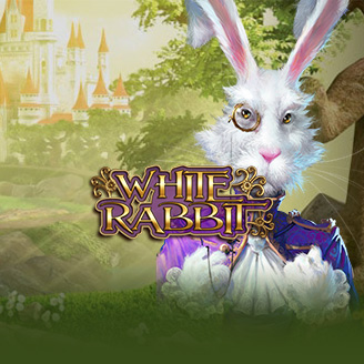 White Rabbit