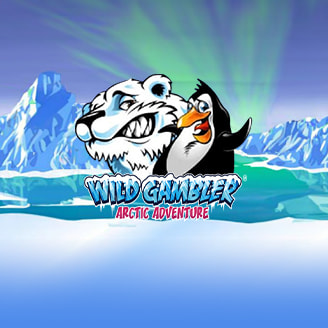 Wild Gambler 2 Arctic Adventure