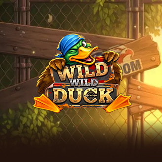 Wild Wild Duck