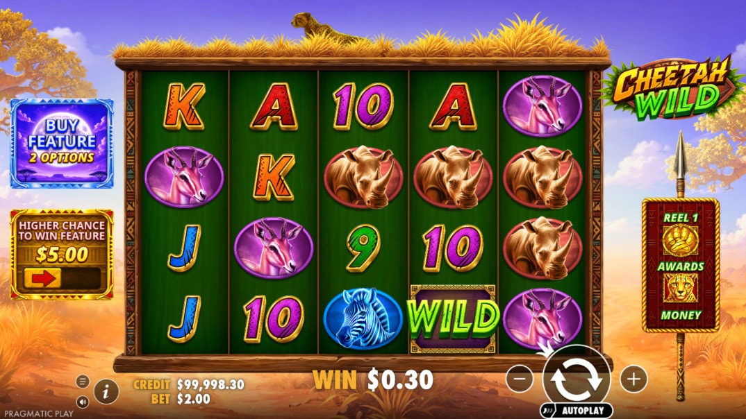 Cheetah Wild Demo Game