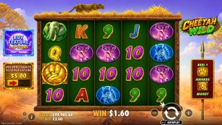 Cheetah Wild Gameplay