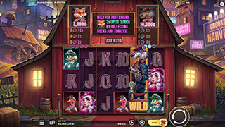 Cocks and Robbers Gameplay
