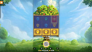 Lucky Fortune Tree Bonus