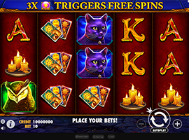 The Madame Destiny Slot Game