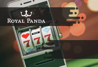 Overview of the Game Lobby on the Royal Panda App