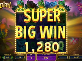 A Big Win on the Multifly! Slot Machine