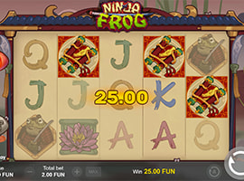 A Big Win on the Ninja Frog Slot Machine