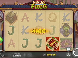 The Ninja Frog Slot Game